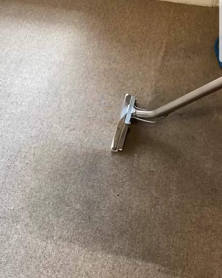 professional carpet cleaning services